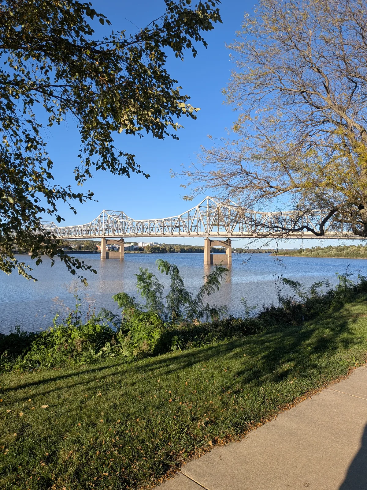The Murray Baker Bridge over the Illinois River, framed by riverside trees