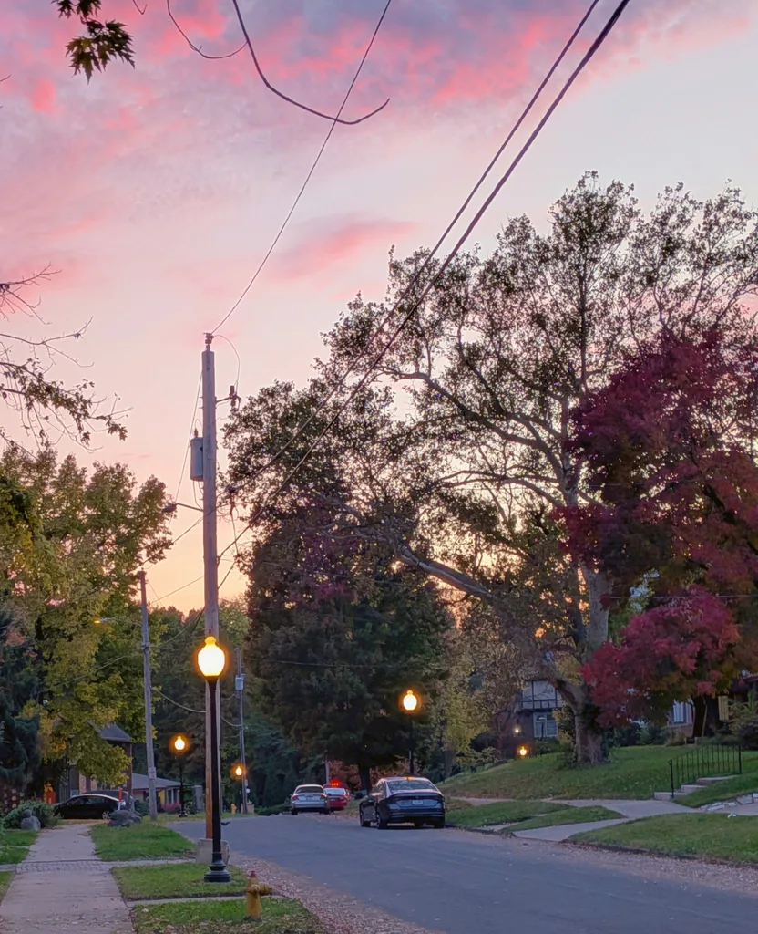 Street lamps glowing along a tree-lined West Bluff street under a pink sunset sky