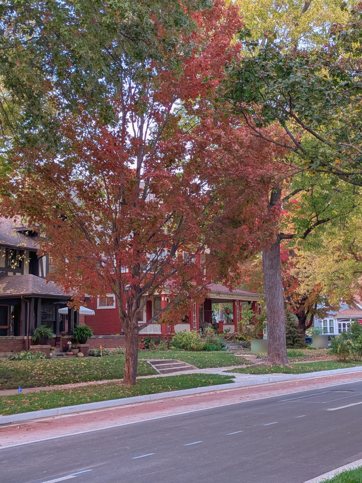 A red Craftsman with a deep front porch next to a Tudor, under fall trees
